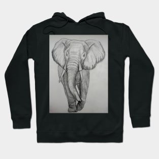 Walking elephant Hoodie